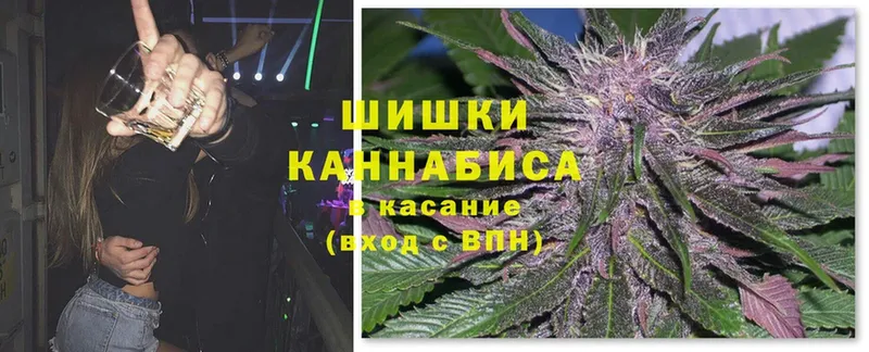 MEGA онион  Мурино  МАРИХУАНА Bruce Banner 